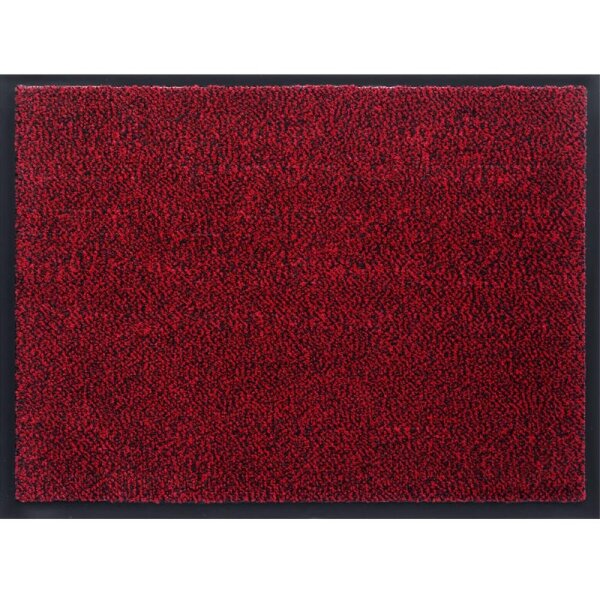 Schmutzfangmatte 40x60cm Fußmatte rot Bodenmatte Türmatte Flurteppich