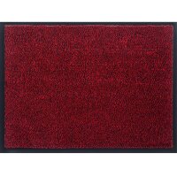 Schmutzfangmatte 40x60cm Fußmatte rot Bodenmatte...