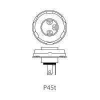 KFZ PKW Autolampe Birne Licht Lampe 12V 45/40W P45t R2 E4