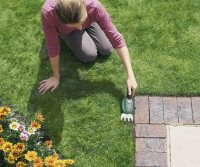 Bosch Home and Garden ISIO Akku Grasschere mit Teleskopstiel