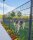 Doppelstabmatte 8/6/8 2,5m x 1,83m RAL7016 Anthrazit