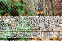 Astschere Gartenschere mit Kunststoffgriff Durchlaufklinge