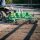 Kellfri Flexibler Reitbahnplaner Reitplatzplaner RBH 1,5m für ATV / Quad