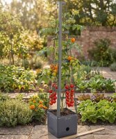 Pflanzturm Tomatenpflanzturm 150 x 25 x 25 cm mit...